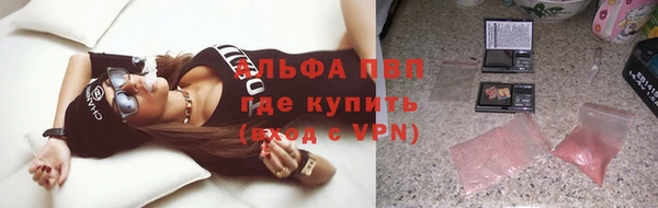 гашик Михайловск