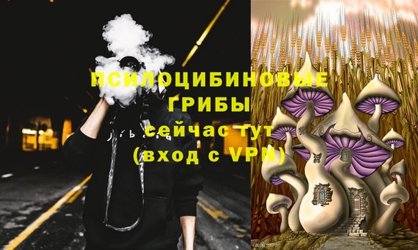 гашик Михайловка