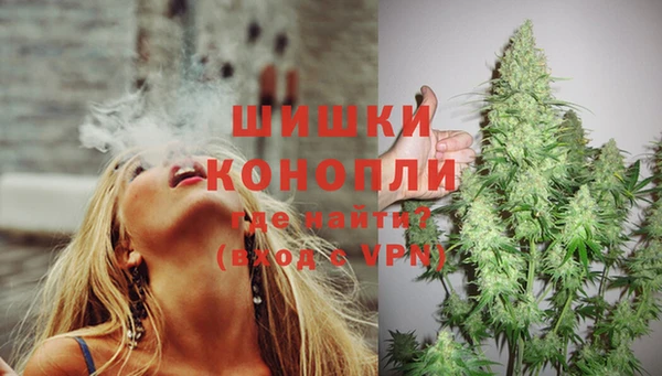 тгк Михайлов