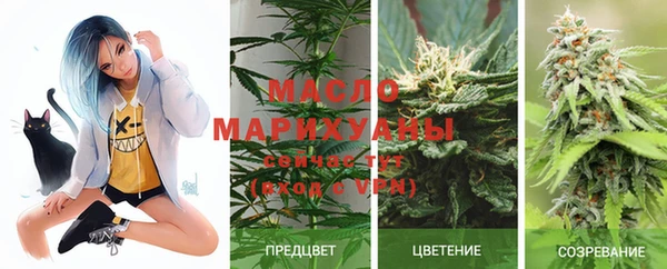 гашик Михайловка