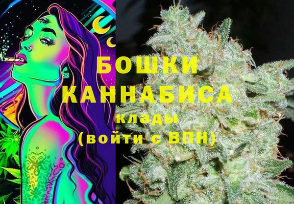 гашик Михайловск